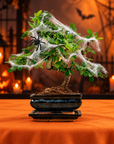 Carmona katachi (Edición de Halloween)