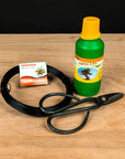 Ficus Starter Set - extended