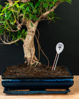 3-in-1 soil meter