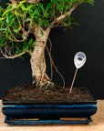Soil moisture meter