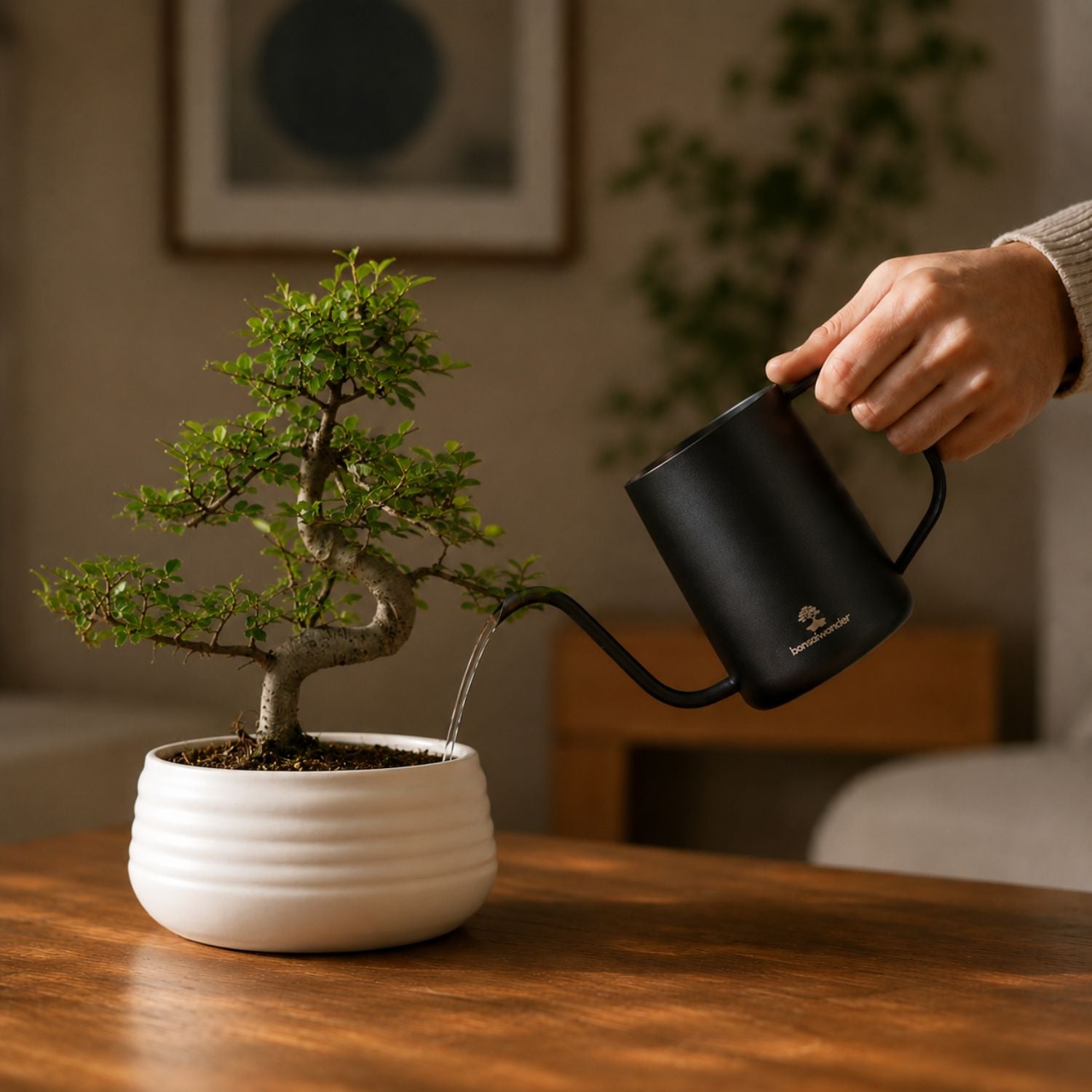 Watering Can Stainless Steel - 600ml (black)