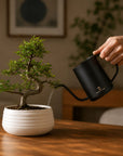 Watering Can Stainless Steel - 600ml (black)