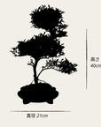 ILEX Spiral